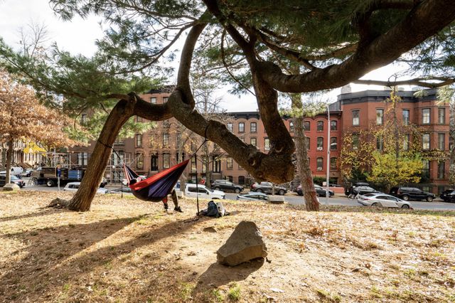 A person relaxes in a hammock tied to a tree in Fort Greene Park in Brooklyn.